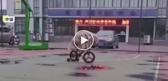 A dog from China rides a bicycle and skateboard
