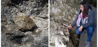 Живе каміння Португалії: таємничий граніт, який «народжує» малюків (12 фото + 1 відео)