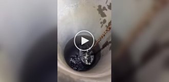 They saved a cat that fell into a well