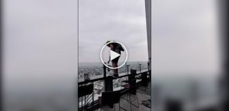 Бейсджампер прыгнул с крыши 41-го этажа, когда персонал умолял остановиться