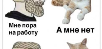 Подборка забавных твитов обо всем. Выпуск 758 (70 картинок)