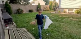 A boy started his own business cleaning up dog poop (2 photos + 1 video)