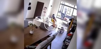 Когда домашние игры идут не по плану