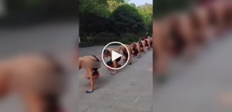 Morning exercises for Chinese pensioners