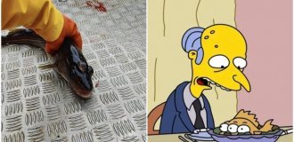 Another prediction from “The Simpsons” came true in Greenland (3 photos + 1 video)
