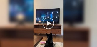 Собака воет вместе с героиней сериала