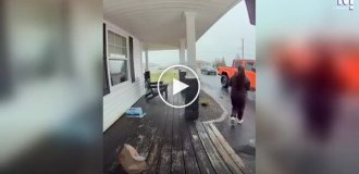 A crow intercepted a food delivery