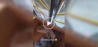 Парень оперативно пристроил уличного котенка