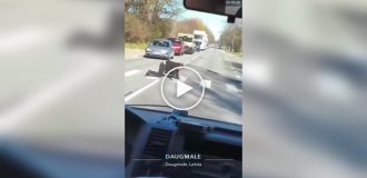 Латыш переползает дорогу