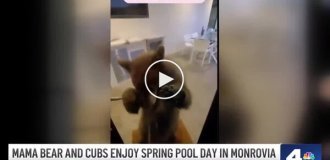 Медведица привела своих медвежат купаться в бассейне чужого дома