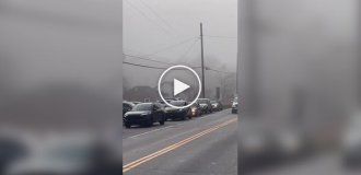 Обнаружена пробка на дороге с самым неожиданным ее началом