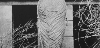 Что такое «гроб Фиска» (7 фото)