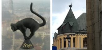 Кошачий дом Риги: легенда о мести и гордости (11 фото)