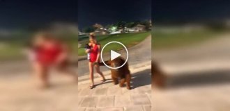 An unusual scene in Dubai