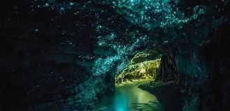 Пещеры Вайтомо: подземное звездное небо Новой Зеландии Пещеры Вайтомо (3 фото + видео)
