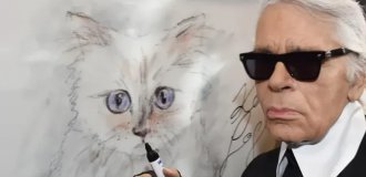 Кошка модельера Лагерфельда до сих пор не получила милионное наследство (4 фото)