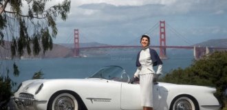 Interesting and sometimes amusing automotive-themed shots (21 photos)
