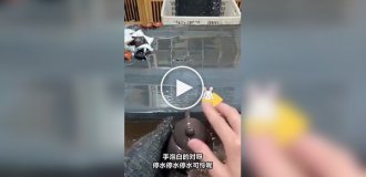 Как проверяют китайские чайники