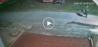 Пробежка обернулась паникой: мужчине пришлось спасаться бегством