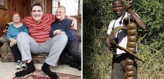 Реальные предметы и живых существ, впечатляющих своими огромными размерами (17 фото)