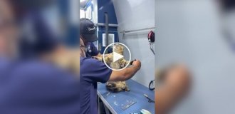 Сначала сопротивлялся, потом смирился