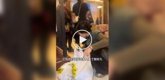 Китаянка с социальной тревожностью спасла 120 кошек, собирая остатки еды со свадеб