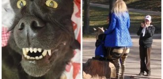 18  снимков, демонстрирующих, что  реальность представляет собой только одну из  точек зрения (19 фото)