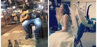 30 кадров, снятых ровно за секунду до «ой» (31 фото)