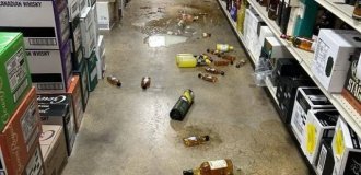 У США єнот влаштував п'яний бешкет у магазині (2 фото)