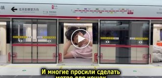 A Chinese resident spent four months building a metro station for cats