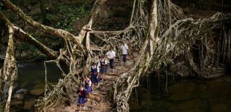 25 Most Dangerous Routes to School (26 Photos)
