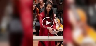 A concert for bottles with an orchestra