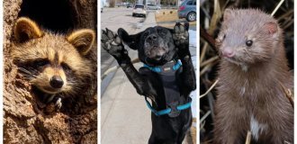 25 фото очаровательных симпатяг, открытость которых растопит даже ледяное сердце (26 фото)