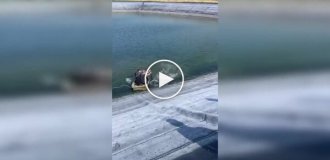 Дикий кабан атаковал мужчин в лодке во время прогулки по водоему