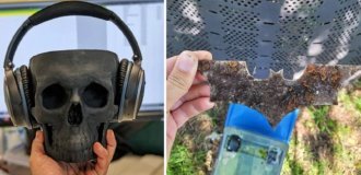 35 Amazing and Unusual Finds That Will Blow Your Mind (36 Photos)