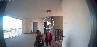 Пришли к соседской собаке — и подняли тревогу