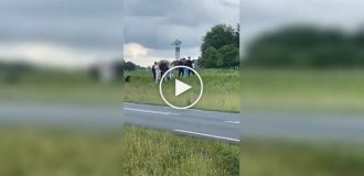Спуск огромного судна закончился для зрителей неожиданным душем