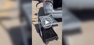 Folding cart for car