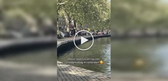 Подводная охота в центре Амстердама: рыбак с гарпуном удивил прохожих