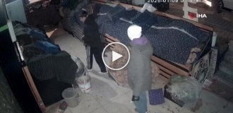 Ночные любители лука