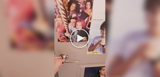 Женщина создала детскую комнату своей мечты