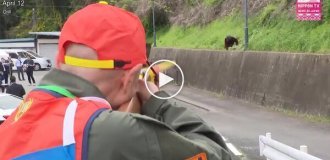 В Японии прошли учения на случай выхода медведей к населенным пунктам