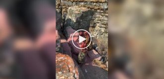 От макушки до пят: секреты красоты и защиты женщин химба