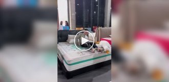 Китайский матрас для повышения рождаемости