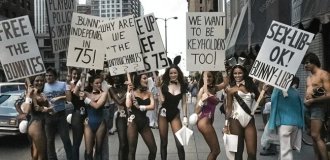 Подборка интересных и необычных фотографий из США (21 фото)