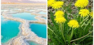 10 Interesting Facts About Everything in the World (11 photos)