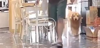В поисках потерянной тапки