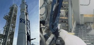 Папуга зірвав запуск першої австралійської космічної ракети (2 фото)