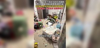 Китаец разгромил квартиру после того, как жена купила посудомоечную машину без его согласия