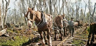 Незвичайні та цікаві знімки з різних країн світу, зроблені у XX столітті (21 фото)